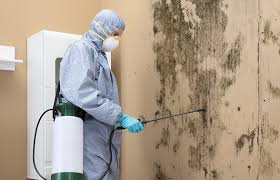 Best Air Quality Testing for Mold Spores  in Cotulla, TX